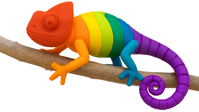 imagem-principal-camaleão